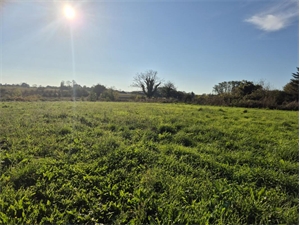 terrain à la vente -   17430  LUSSANT, surface 1557 m2 vente terrain - UBI465068684